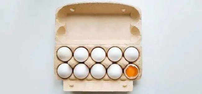 1762483279208509.jpg 微信圖片_20251107104112.jpg